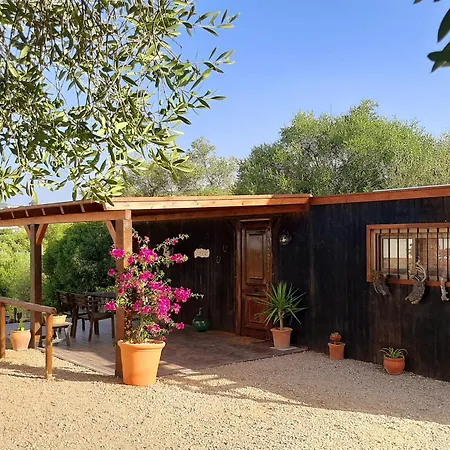 Preciosa Casa De Madera, Andalucia Vila Prado Del Rey Exterior foto
